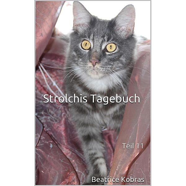 Strolchis Tagebuch - Teil 11 / Strolchis Tagebuch Bd.11, Beatrice Kobras