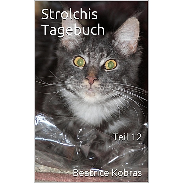 Strolchis Tagebuch - Teil 12 / Strolchis Tagebuch Bd.12, Beatrice Kobras