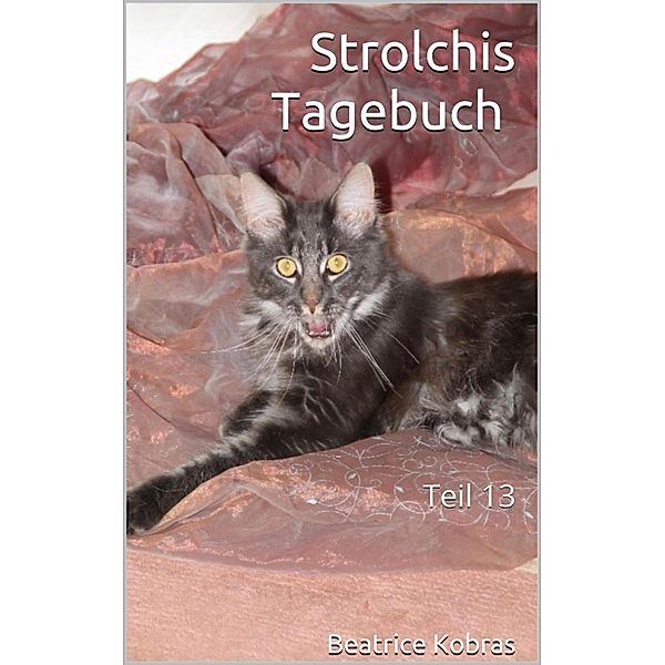 Strolchis Tagebuch - Teil 13 / Strolchis Tagebuch Bd.13, Beatrice Kobras