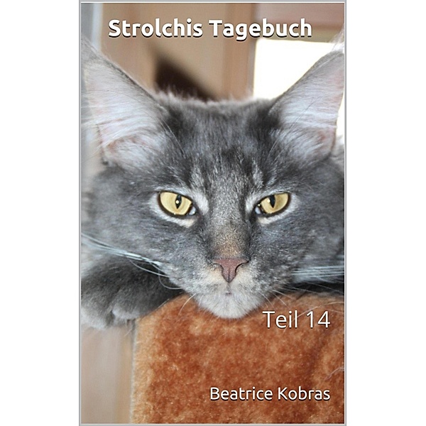 Strolchis Tagebuch - Teil 14 / Strolchis Tagebuch Bd.14, Beatrice Kobras