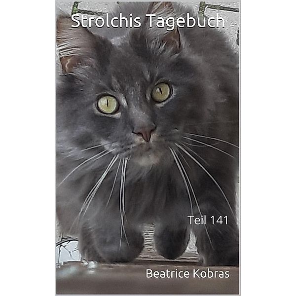Strolchis Tagebuch - Teil 141 / Strolchis Tagebuch Bd.141, Beatrice Kobras