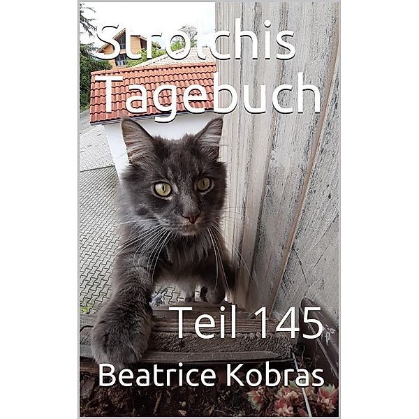 Strolchis Tagebuch - Teil 145 / Strolchis Tagebuch Bd.145, Beatrice Kobras