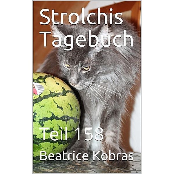 Strolchis Tagebuch - Teil 158 / Strolchis Tagebuch Bd.158, Beatrice Kobras