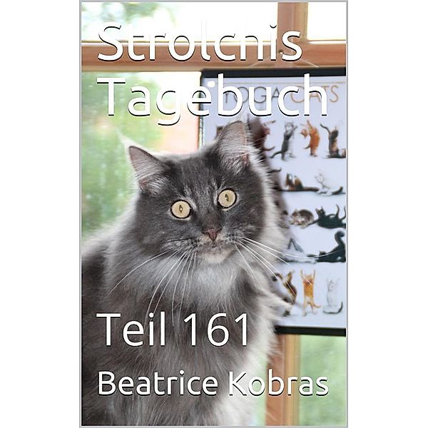 Strolchis Tagebuch - Teil 161 / Strolchis Tagebuch Bd.161, Beatrice Kobras