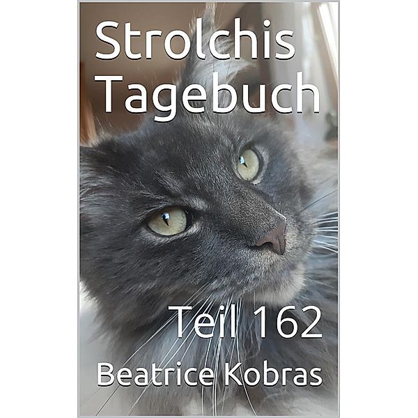 Strolchis Tagebuch - Teil 162 / Strolchis Tagebuch Bd.162, Beatrice Kobras