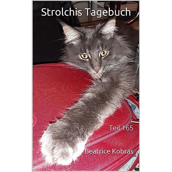 Strolchis Tagebuch - Teil 165 / Strolchis Tagebuch Bd.165, Beatrice Kobras