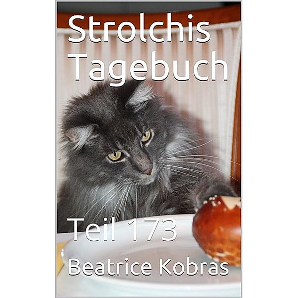Strolchis Tagebuch - Teil 173 / Strolchis Tagebuch Bd.173, Beatrice Kobras