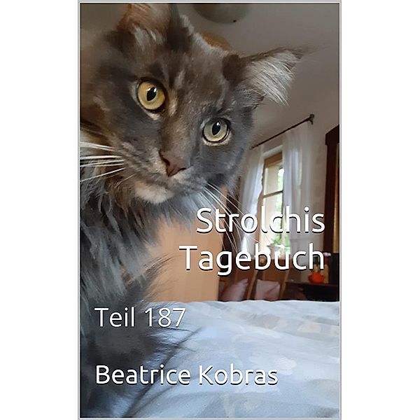 Strolchis Tagebuch - Teil 187 / Strolchis Tagebuch Bd.187, Beatrice Kobras