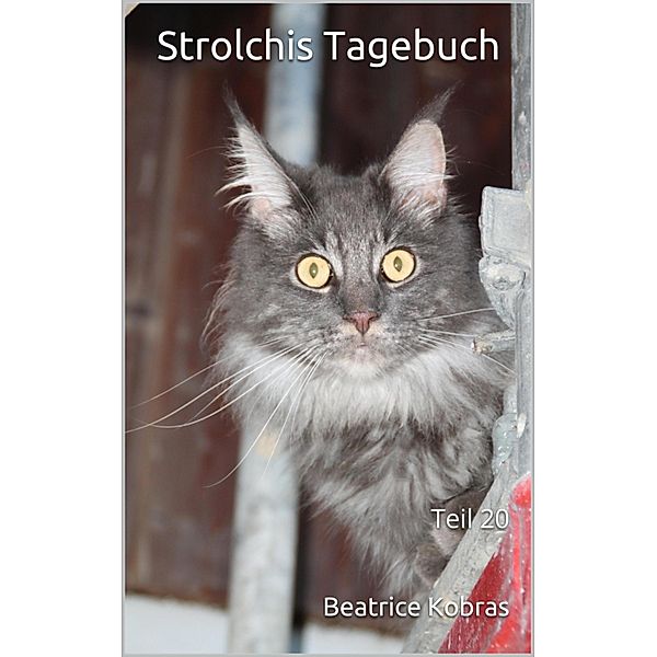 Strolchis Tagebuch - Teil 20 / Strolchis Tagebuch Bd.20, Beatrice Kobras