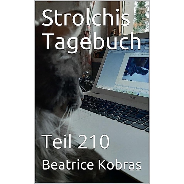 Strolchis Tagebuch - Teil 210 / Strolchis Tagebuch Bd.210, Beatrice Kobras