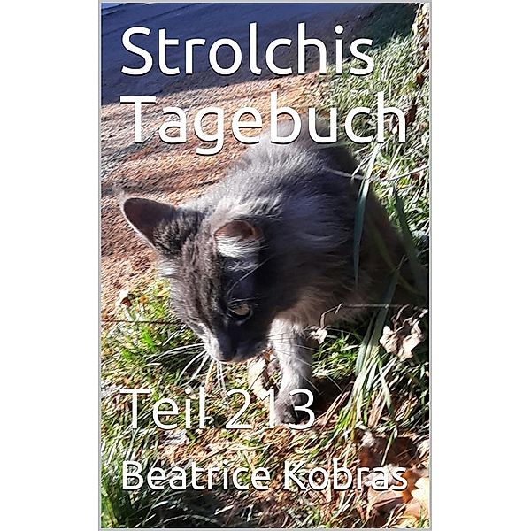 Strolchis Tagebuch - Teil 213 / Strolchis Tagebuch Bd.213, Beatrice Kobras