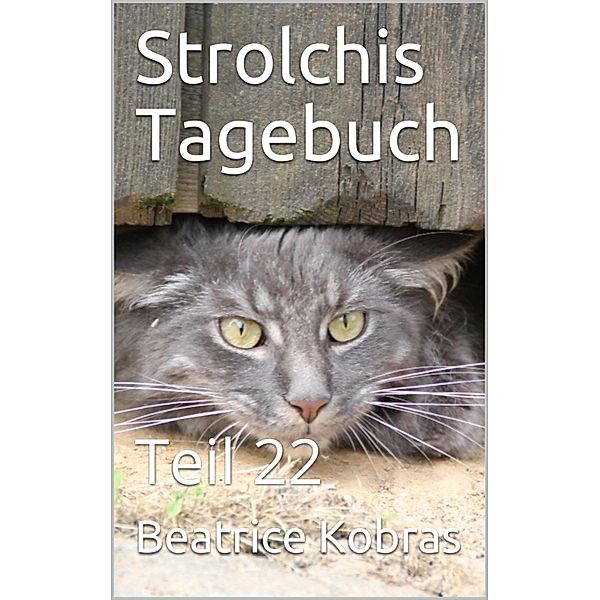 Strolchis Tagebuch - Teil 22 / Strolchis Tagebuch Bd.22, Beatrice Kobras