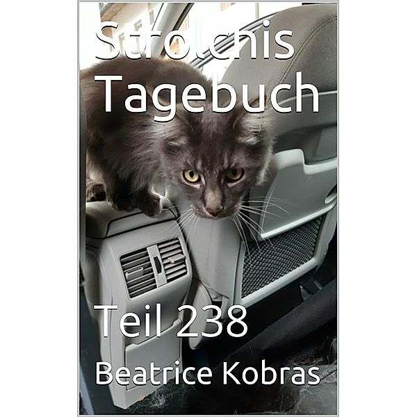 Strolchis Tagebuch - Teil 238 / Strolchis Tagebuch Bd.238, Beatrice Kobras