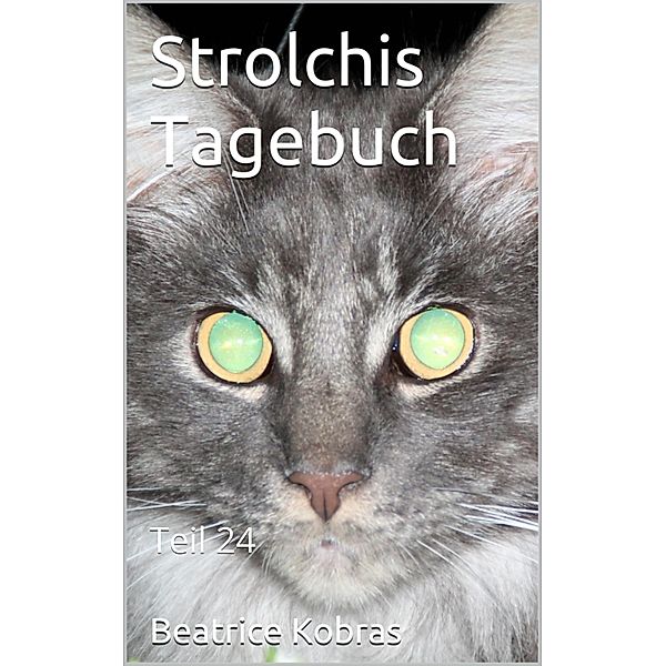 Strolchis Tagebuch - Teil 24 / Strolchis Tagebuch Bd.24, Beatrice Kobras