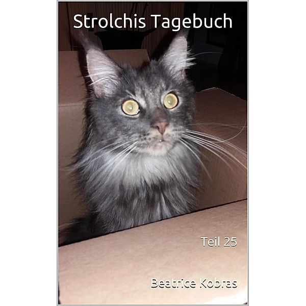 Strolchis Tagebuch - Teil 25 / Strolchis Tagebuch Bd.25, Beatrice Kobras