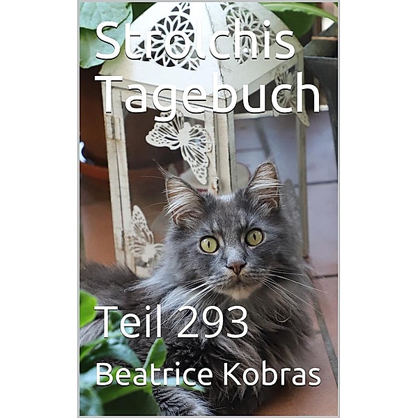 Strolchis Tagebuch - Teil 293 / Strolchis Tagebuch Bd.293, Beatrice Kobras