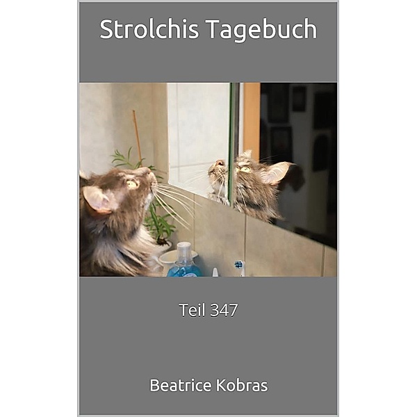 Strolchis Tagebuch - Teil 347 / Strolchis Tagebuch Bd.347, Beatrice Kobras