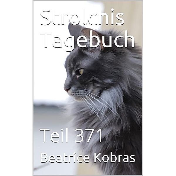 Strolchis Tagebuch - Teil 371 / Strolchis Tagebuch Bd.371, Beatrice Kobras