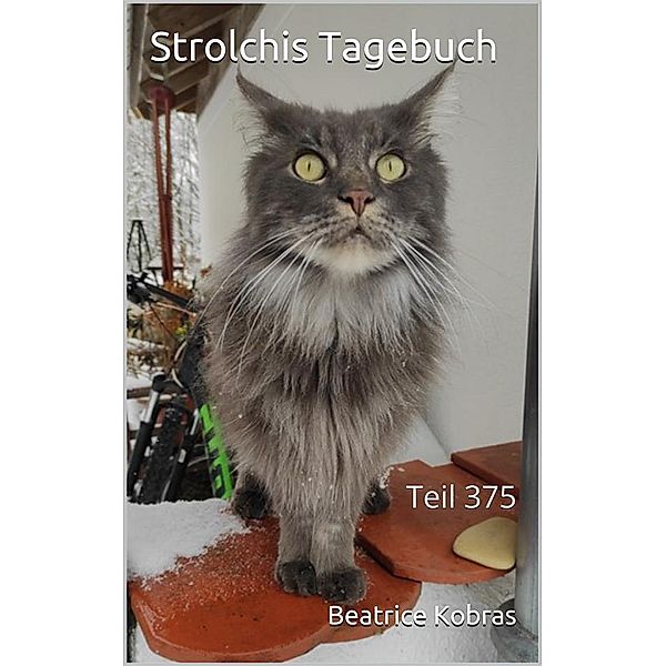 Strolchis Tagebuch - Teil 375 / Strolchis Tagebuch Bd.375, Beatrice Kobras