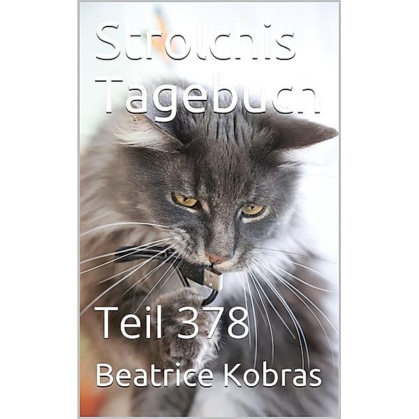 Strolchis Tagebuch - Teil 378 / Strolchis Tagebuch Bd.378, Beatrice Kobras