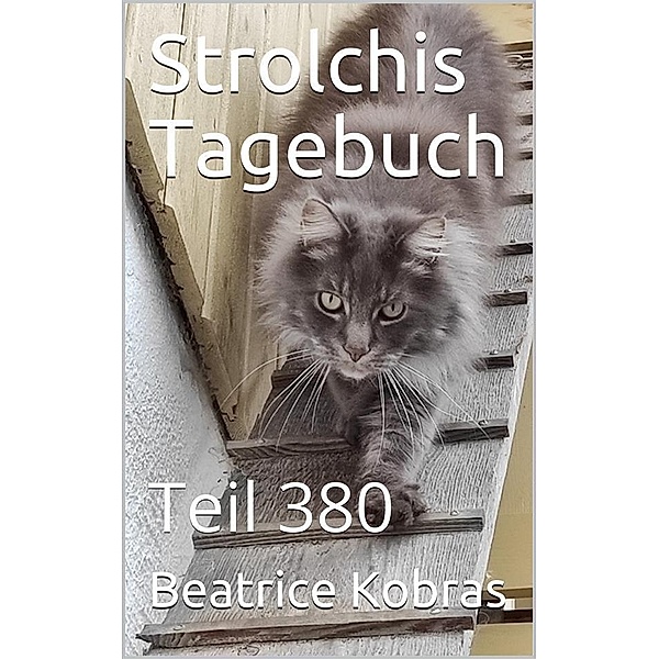 Strolchis Tagebuch - Teil 380 / Strolchis Tagebuch Bd.380, Beatrice Kobras