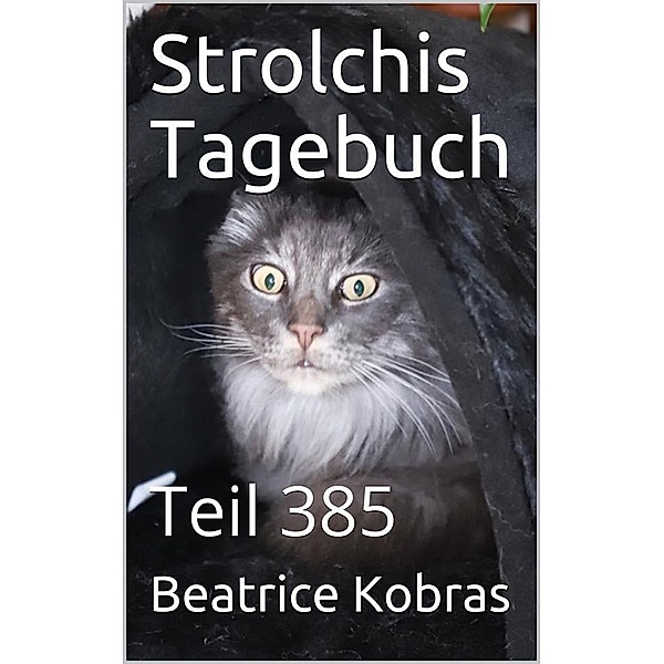 Strolchis Tagebuch - Teil 385 / Strolchis Tagebuch Bd.385, Beatrice Kobras