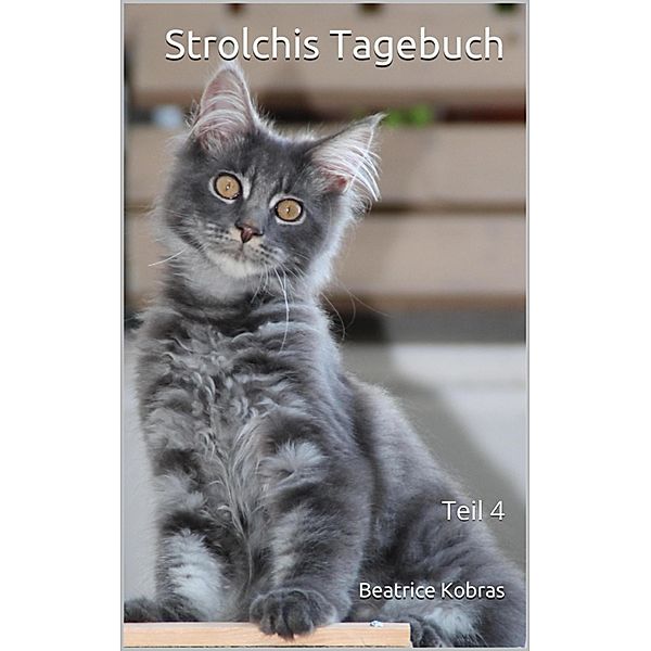 Strolchis Tagebuch - Teil 4 / Strolchis Tagebuch Bd.4, Beatrice Kobras