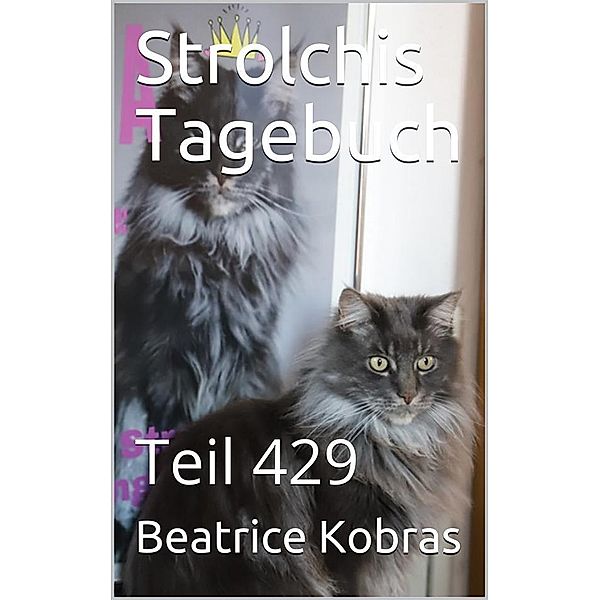 Strolchis Tagebuch - Teil 429 / Strolchis Tagebuch Bd.429, Beatrice Kobras