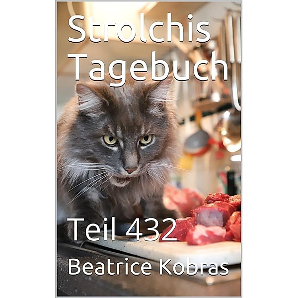 Strolchis Tagebuch - Teil 432 / Strolchis Tagebuch Bd.432, Beatrice Kobras