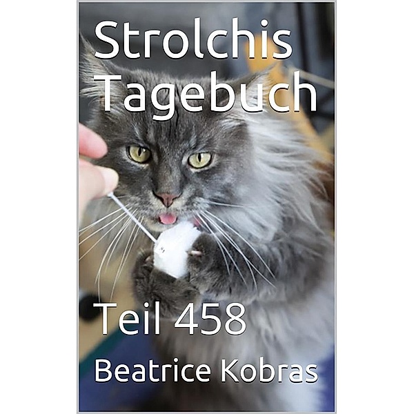 Strolchis Tagebuch - Teil 458 / Strolchis Tagebuch Bd.458, Beatrice Kobras