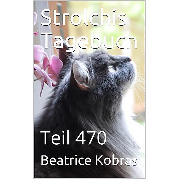 Strolchis Tagebuch - Teil 470 / Strolchis Tagebuch Bd.470, Beatrice Kobras