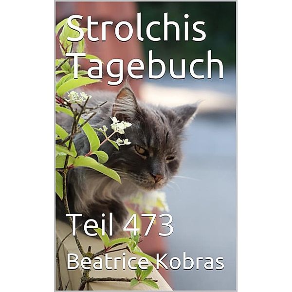 Strolchis Tagebuch - Teil 473 / Strolchis Tagebuch Bd.473, Beatrice Kobras