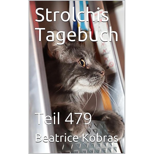 Strolchis Tagebuch - Teil 479 / Strolchis Tagebuch Bd.479, Beatrice Kobras