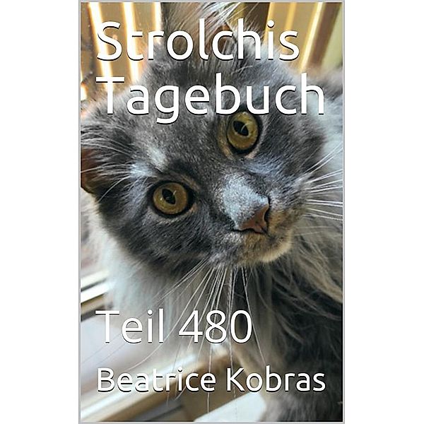 Strolchis Tagebuch - Teil 480 / Strolchis Tagebuch Bd.480, Beatrice Kobras