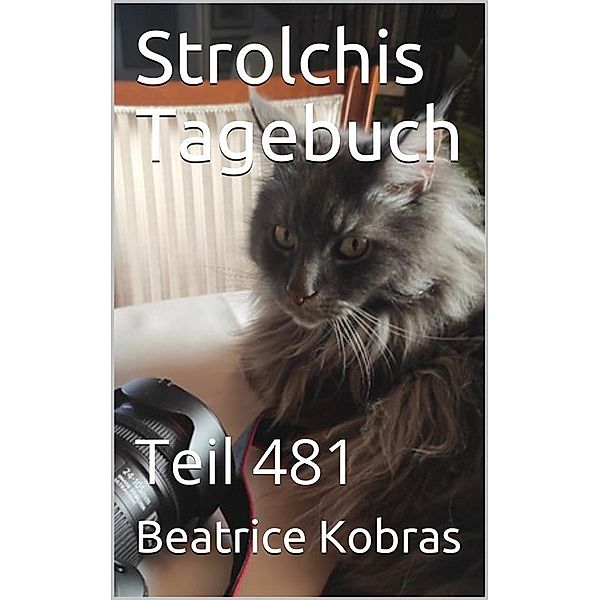 Strolchis Tagebuch - Teil 481 / Strolchis Tagebuch Bd.481, Beatrice Kobras