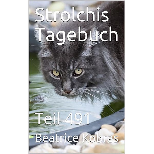 Strolchis Tagebuch - Teil 491 / Strolchis Tagebuch Bd.491, Beatrice Kobras