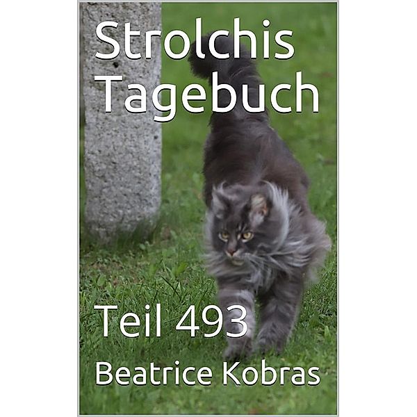 Strolchis Tagebuch - Teil 493 / Strolchis Tagebuch Bd.493, Beatrice Kobras