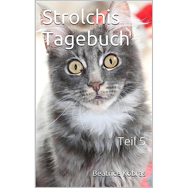 Strolchis Tagebuch - Teil 5 / Strolchis Tagebuch Bd.5, Beatrice Kobras