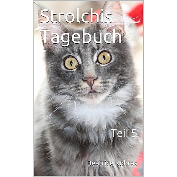 Strolchis Tagebuch - Teil 5 / Strolchis Tagebuch Bd.5, Beatrice Kobras