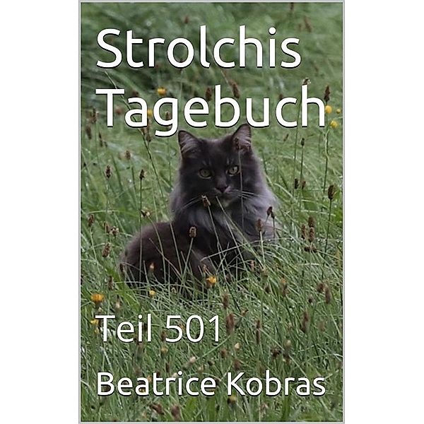 Strolchis Tagebuch - Teil 501 / Strolchis Tagebuch Bd.501, Beatrice Kobras