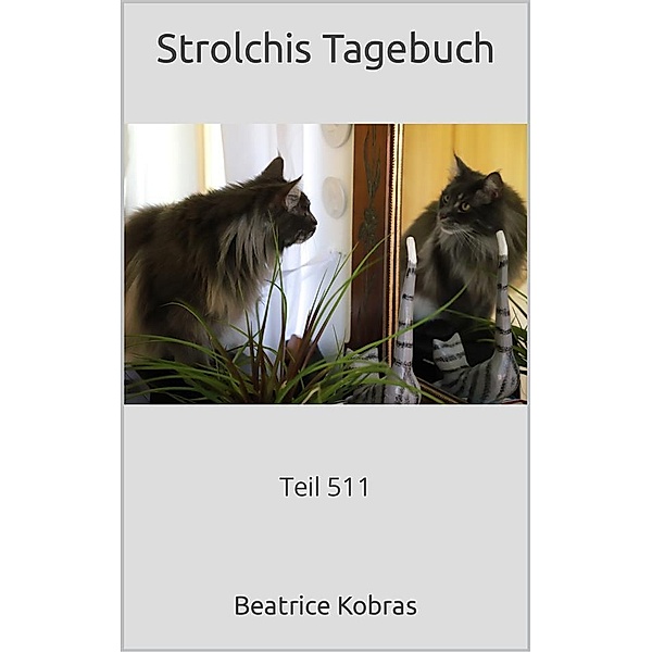Strolchis Tagebuch - Teil 511 / Strolchis Tagebuch Bd.511, Beatrice Kobras