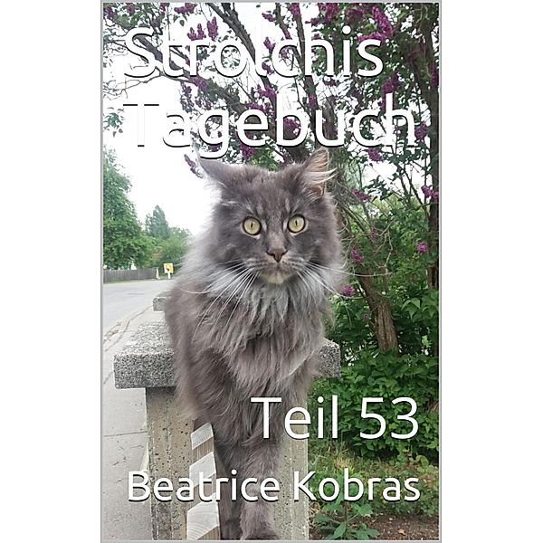 Strolchis Tagebuch - Teil 53, Beatrice Kobras