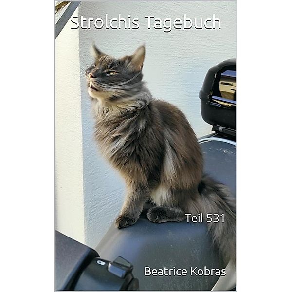 Strolchis Tagebuch - Teil 531 / Strolchis Tagebuch Bd.531, Beatrice Kobras