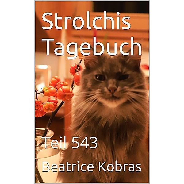 Strolchis Tagebuch - Teil 543 / Strolchis Tagebuch Bd.543, Beatrice Kobras