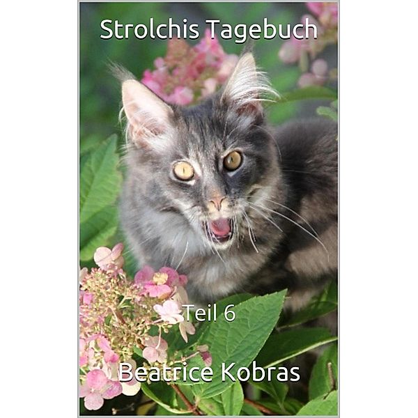 Strolchis Tagebuch - Teil 6 / Strolchis Tagebuch Bd.6, Beatrice Kobras