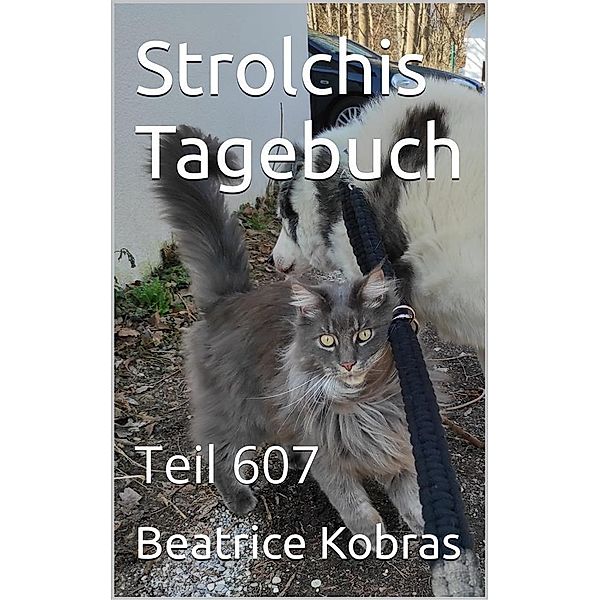 Strolchis Tagebuch - Teil 607 / Strolchis Tagebuch Bd.607, Beatrice Kobras