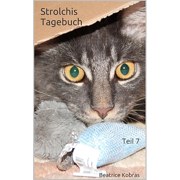 Strolchis Tagebuch - Teil 7 / Strolchis Tagebuch Bd.7, Beatrice Kobras