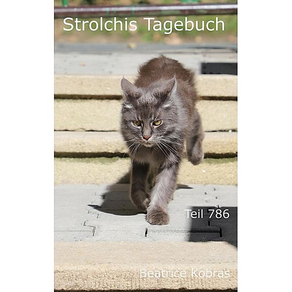 Strolchis Tagebuch - Teil 786 / Strolchis Tagebuch Bd.786, Beatrice Kobras