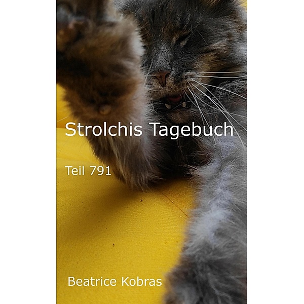 Strolchis Tagebuch - Teil 791 / Strolchis Tagebuch Bd.791, Beatrice Kobras