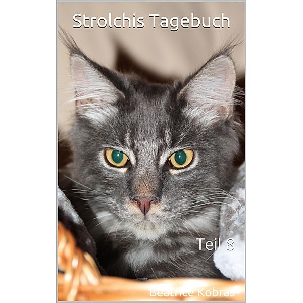 Strolchis Tagebuch - Teil 8 / Strolchis Tagebuch Bd.8, Beatrice Kobras
